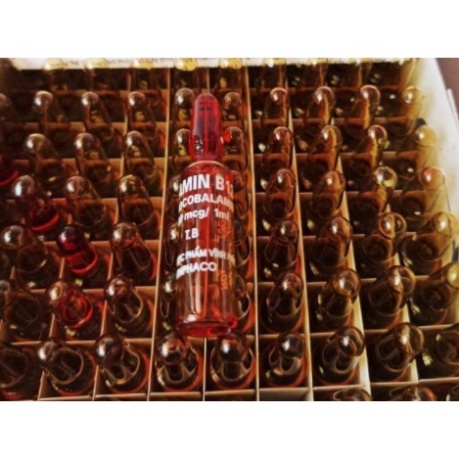 Ống 1ml Vitamin B12 Dùng Giải Độc Cho Cây Trồng - shop BÉ MẦM 06 HCM