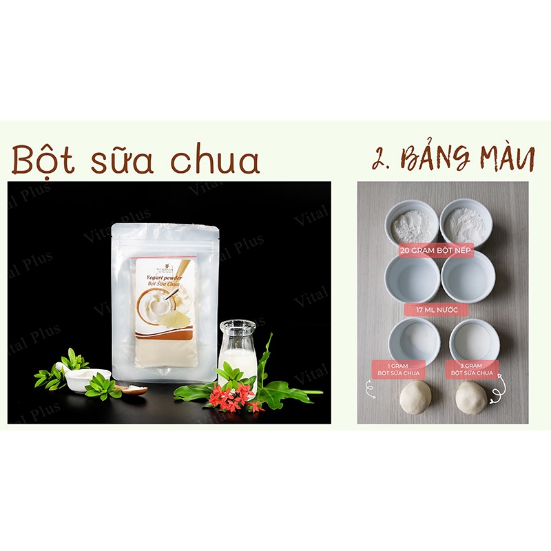 Bột Sữa Chua - Yogurt Powder - Vital Plus - Shop Nhà Anise