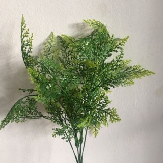 Cụm điểm lá me