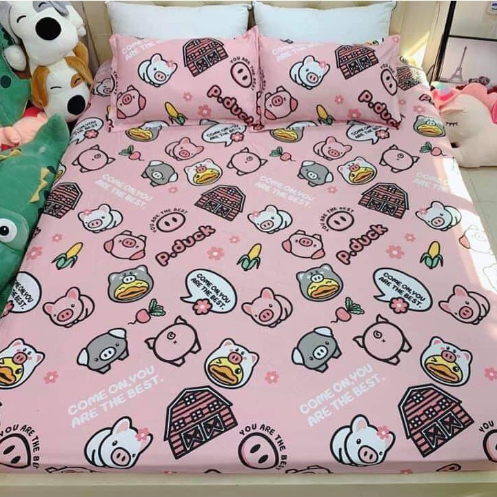 Bộ Ga Gối Cotton Poly mẫu Sư Tử Vàng