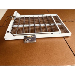 Máy ấp trứng ánh dương, khay nhôm đảo tự động