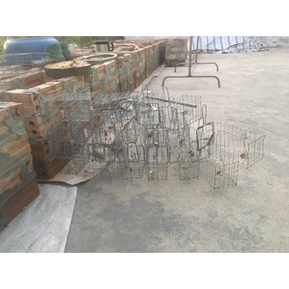 lò xo bẫy chuột