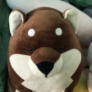 Gấu chó Shiba miniso của Nguyễn Đào