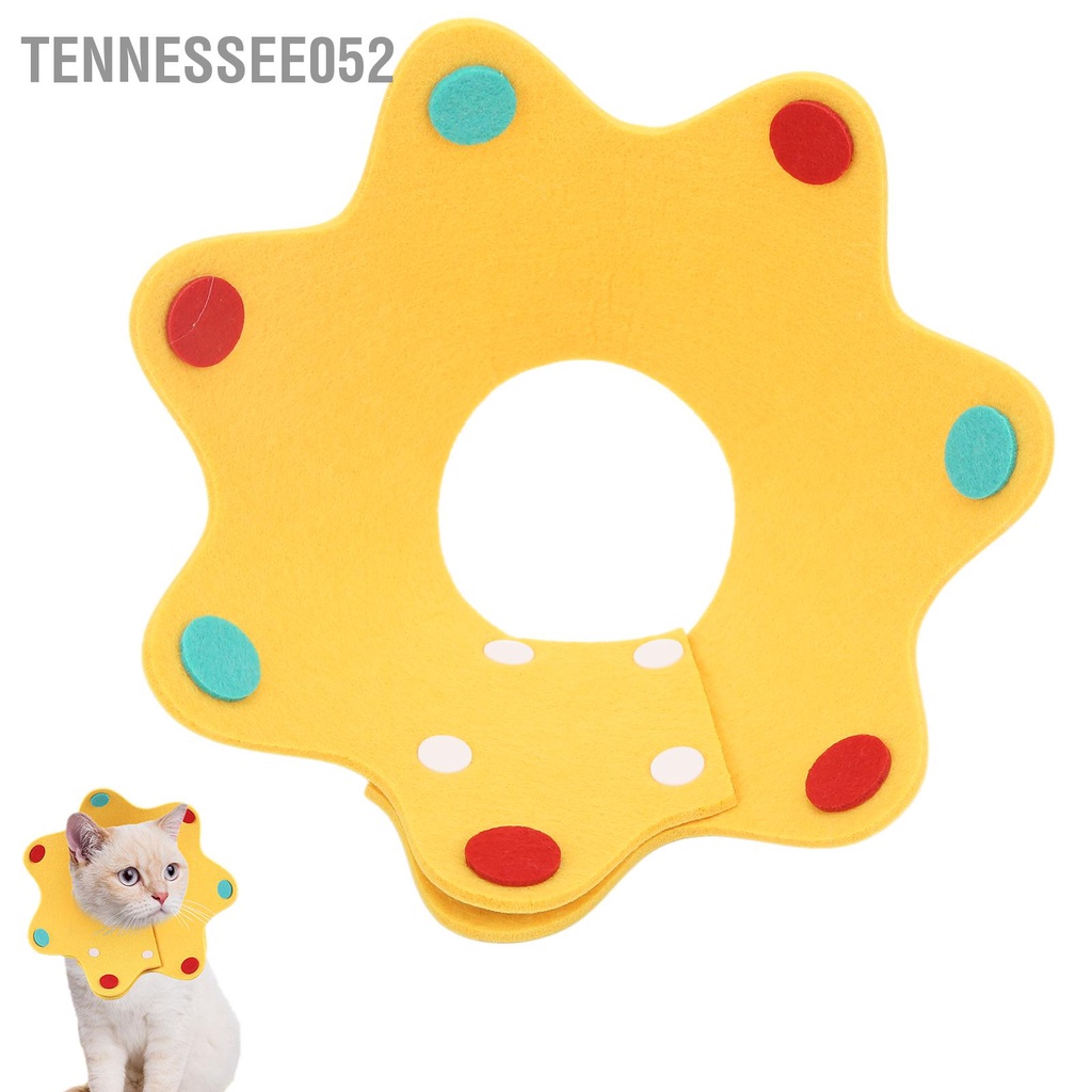 Tennessee052 Cổ áo phục hồi mèo có thể điều chỉnh thời Elizabeth thoải mái cho chó Cún con Kitty
