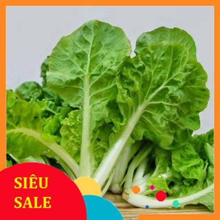20g Hạt giống Cải dún (cải nhún) VIETPHAT