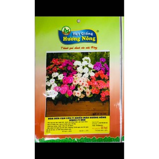 HẠT GIỐNG HOA DỪA CẠN-HƯƠNG NÔNG