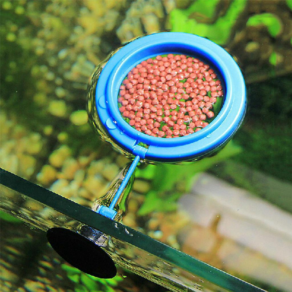 Vòng cho cá ăn, vòng giữ thức ăn cho cá