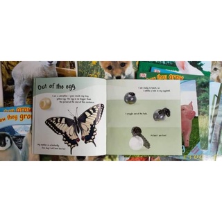 VÒNG ĐỜI CỦA CÁC CON VẬT (SEE HOW THEY GROW) IN OFFSET