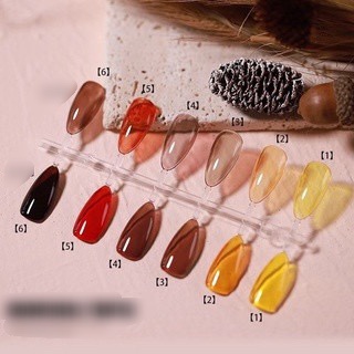 Set sơn gel Vendeeni thạch hổ phách