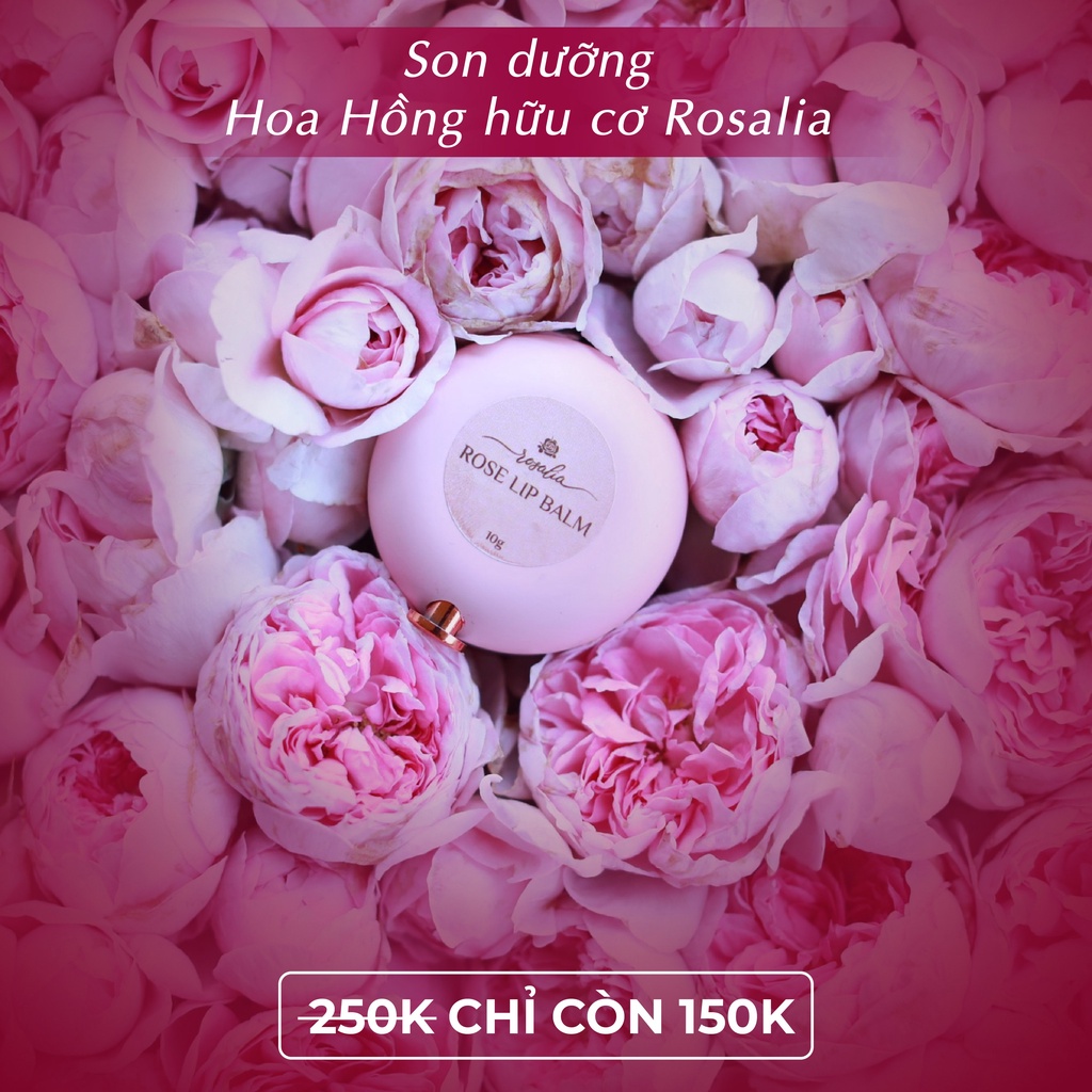 Son Dưỡng Môi Hoa Hồng Sạch Rosalia Dưỡng Ẩm Giúp Khử Thâm Thải Độc Cho Đôi Môi Căng Mọng, Son Dùng Được Cho Cả Em Bé