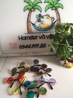 Mắt kính râm cho chó mèo