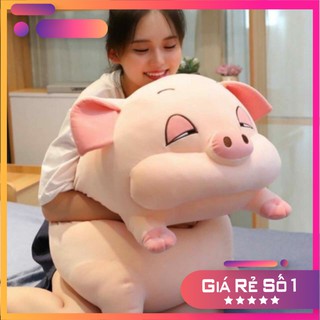 Gấu bông heo buồn ngủ heo mắt híp hothit co dãn bốn chiều
