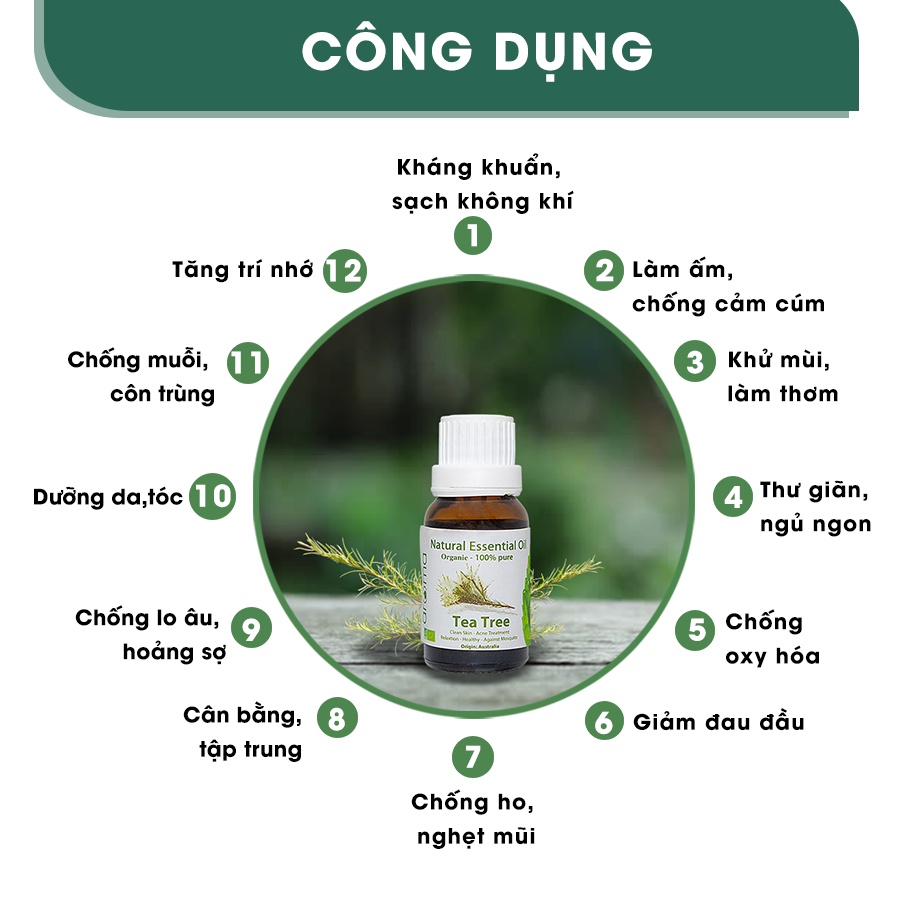 Tinh Dầu Tự Nhiên AROMA Tràm Trà Úc