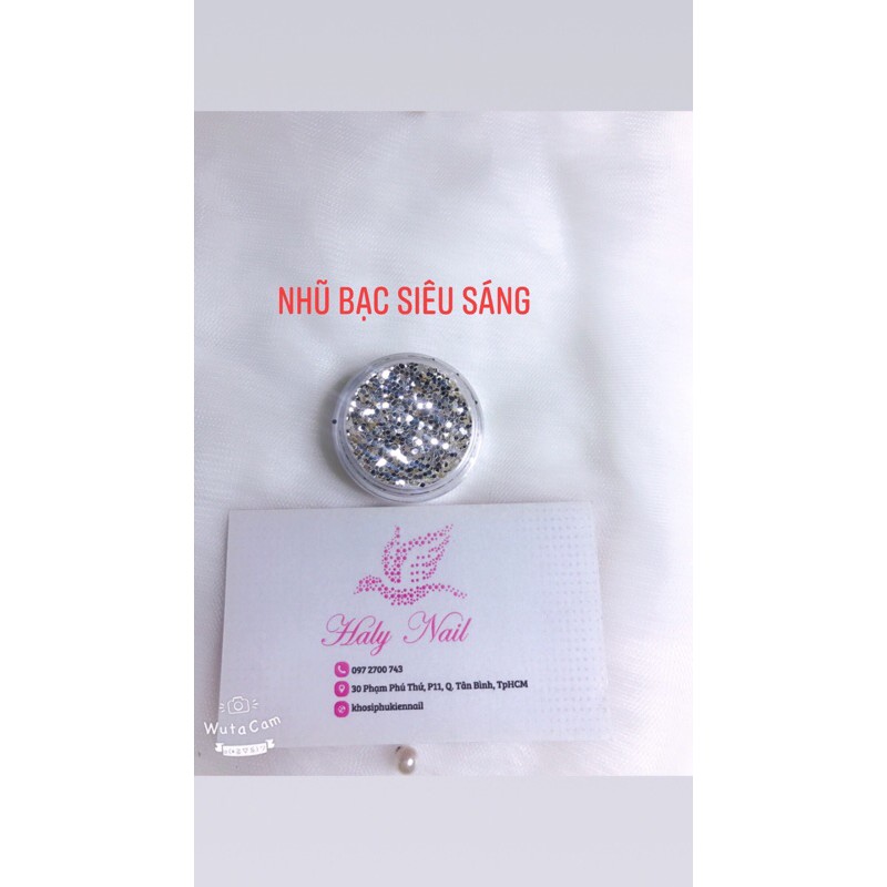 Nhũ kim tuyến rắc nhiều màu hủ 10g