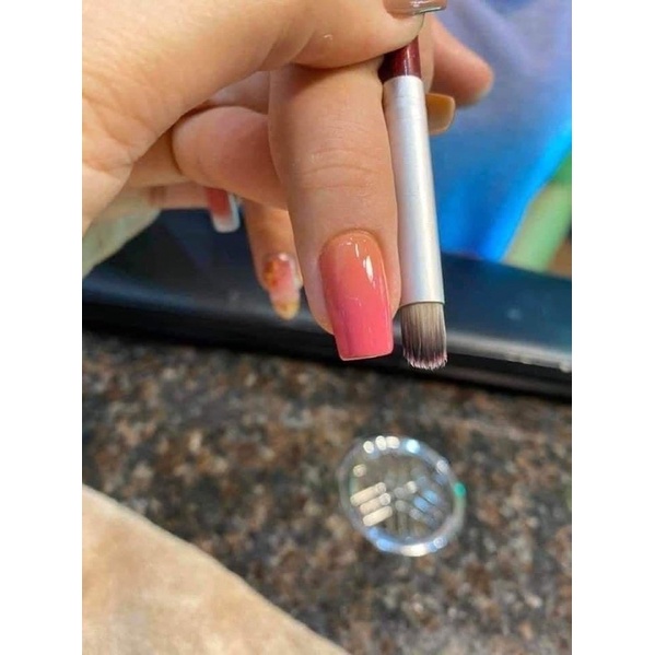 Cọ ombre-cọ làm omber đầu tròn chuyên dụng cho thợ làm nail học nail