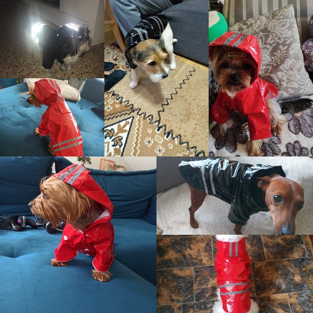 Áo mưa có mũ trùm bằng da pu độc đáo cho thú cưng