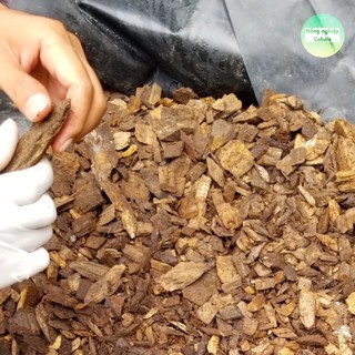 Lớp phủ hữu cơ (Organic Mulch) 5dm3
