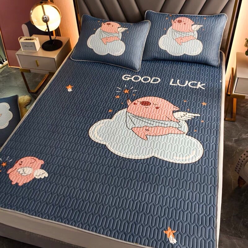 CHIẾU ĐIỀU HOÀ CAO SU NON IN HÌNH 5D SIÊU ĐẸP SIÊU MÁT | BigBuy360 - bigbuy360.vn