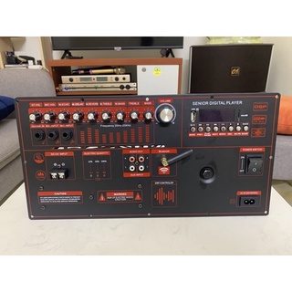 Board mạch loa kéo 4 tấc đôi có Reverb + Boost bass