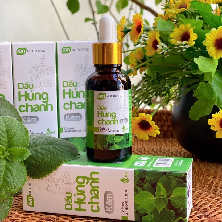 Dầu Húng Chanh Kẽm 30ml - FANECO - FanNutrifood - Helen Store