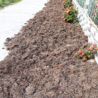 Rơm mục trồng cây_10k/1 kg