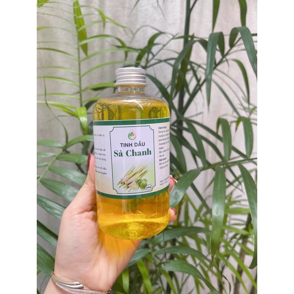 Combo 1 chai tinh dầu sả 500ml lau sàn, xông đèn tránh muỗi