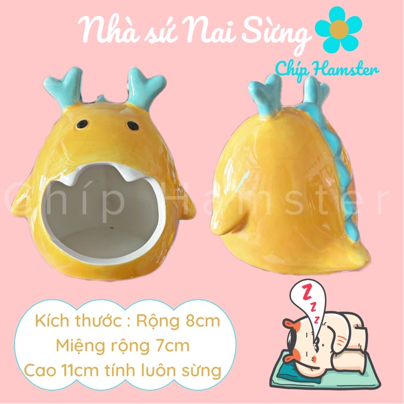 Nhà ngủ Nai sừng ✨