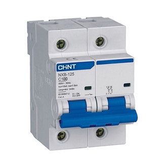 Mcb chint nxb-125 2p 100a 10ka|aptomat tép 2 pha 100a 10ka