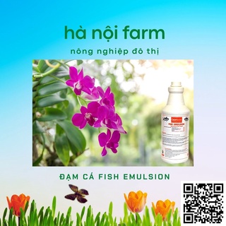 Phân bón hữu cơ fish emulsion - Đạm cá phú hảo chai 250ml