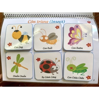 Học Liệu Montessori 18 chủ đề cho bé