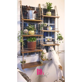 Bộ kệ gỗ chậu đất nung treo tường