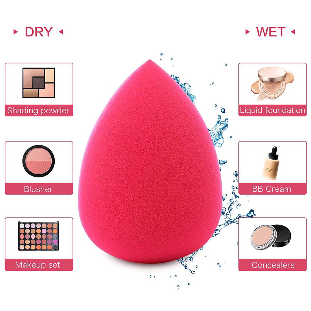 Set 6 bông mút trang điểm siêu cute đẹp mịn đàn hồi cực tốt tán kem tán phấn ZENTOP