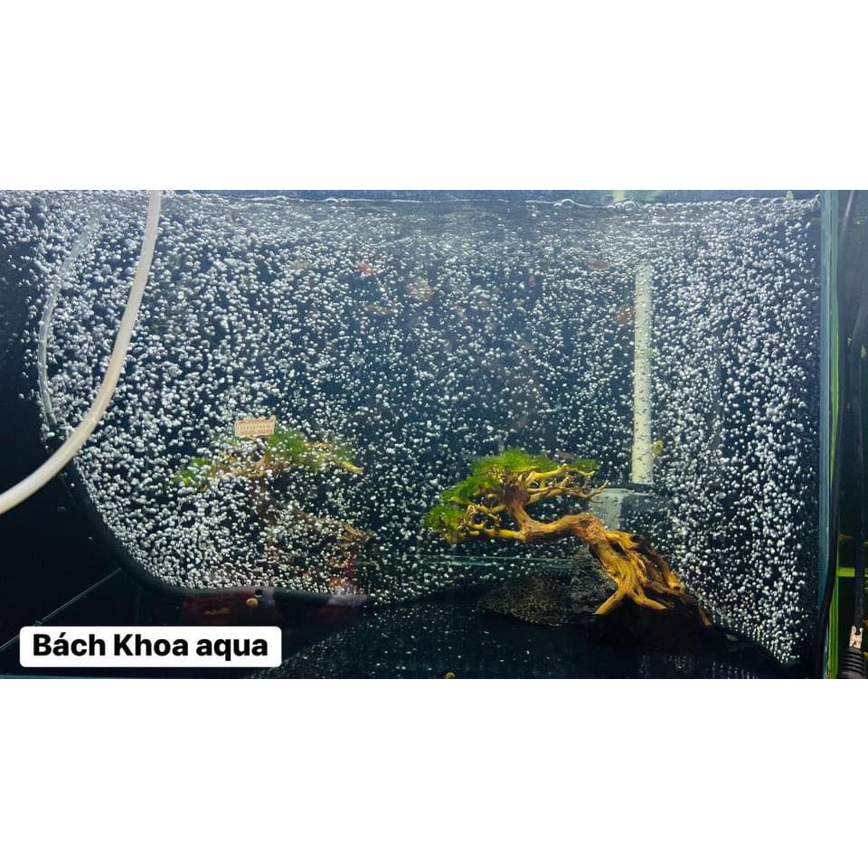 Dây sủi siêu mịn Magic