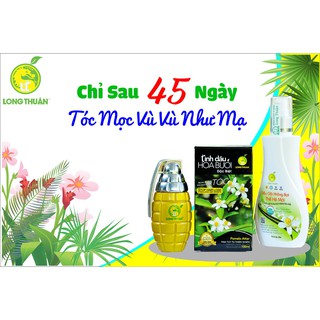 Bộ tinh dầu hoa bưởi đặc biệt (kích thích mọc tóc, ngưng gãy rụng, sạch gàu chỉ trong 45 ngày)