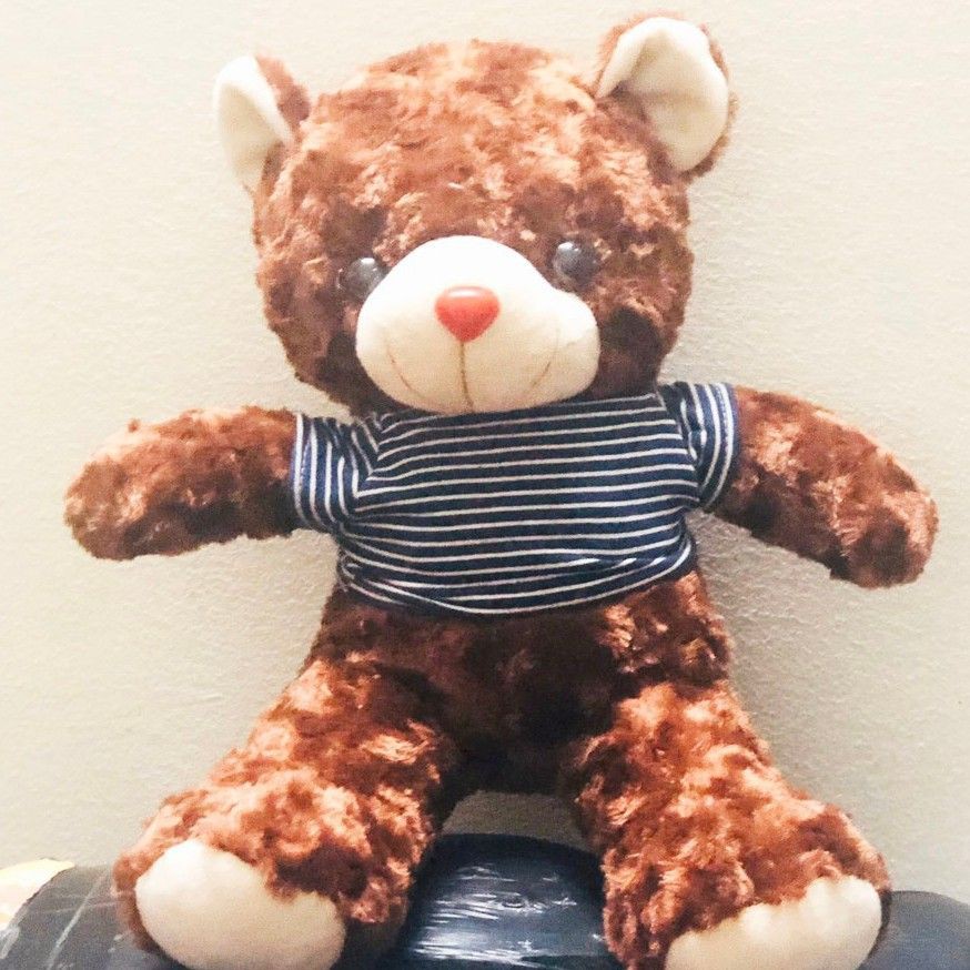 Gấu Bông Teddy Khổ Vai 60cm cao 40cm Dễ Thương