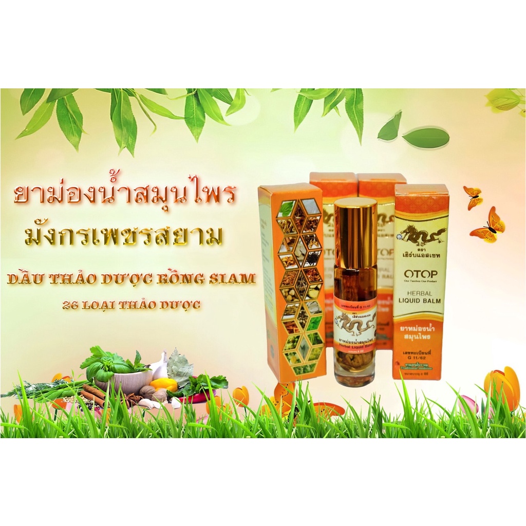 [ Hàng xịn] Dầu lăn thảo dược 26 vị Thái Lan 8ml - Herbal liquid balm | BigBuy360 - bigbuy360.vn
