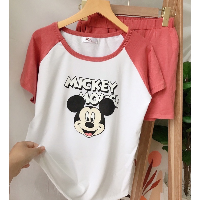 Set Bộ Thể Thao Nữ Mùa Hè Phối Màu Raglan Hot Hit Đồ bộ đùi nhiều màu cá tính Alala