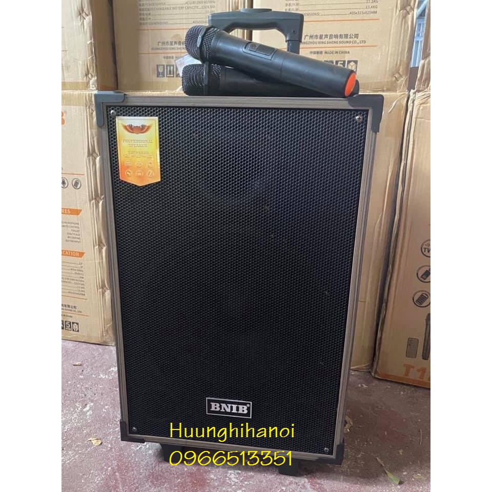 Loa karaoke hát hay giá rẻ BNIB T8 thùng gỗ bass 2 tấc tặng kèm 2 mic không dây hát karaoke, nghe nhạc cực hay