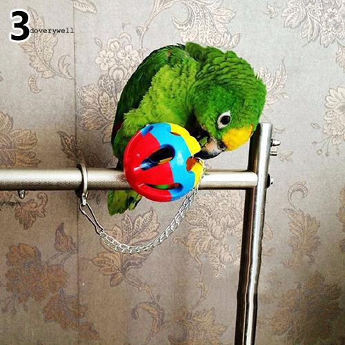 Bóng đồ chơi thú cưng bằng nhựa nhiều màu sắc siêu thú vị cho chim vẹt