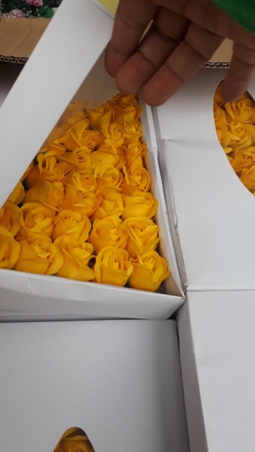 Hoa sáp 3 lớp 100k/ hộp | BigBuy360 - bigbuy360.vn