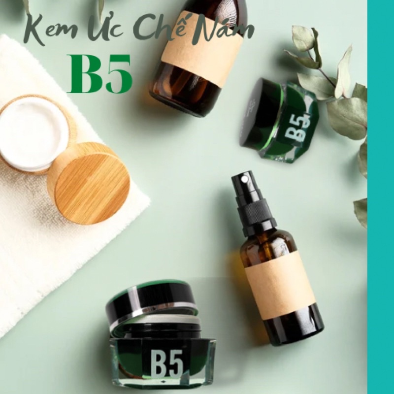 Kem Ngăn Ngừa Nám B5 - Kem Chống Nám Phục Hồi Tái Tạo Da - Kem Ngăn Ngừa nám Chính Hãng 30g