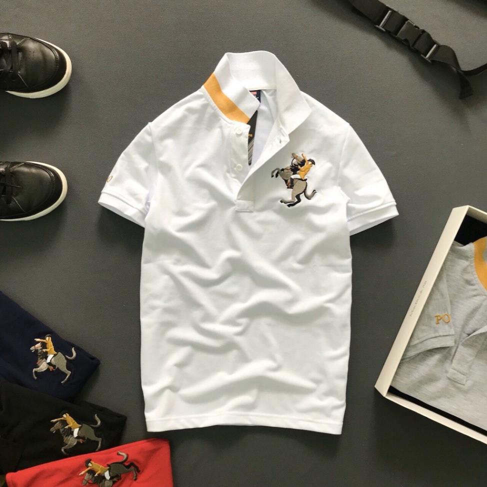 Áo thun nam có cổ thêu logo con ngựa cao cấp KENSTORE89 ATV005 !