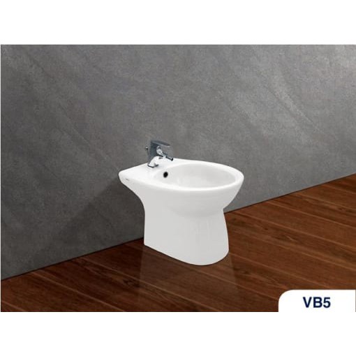 Bồn tiểu nữ Viglacera VB5