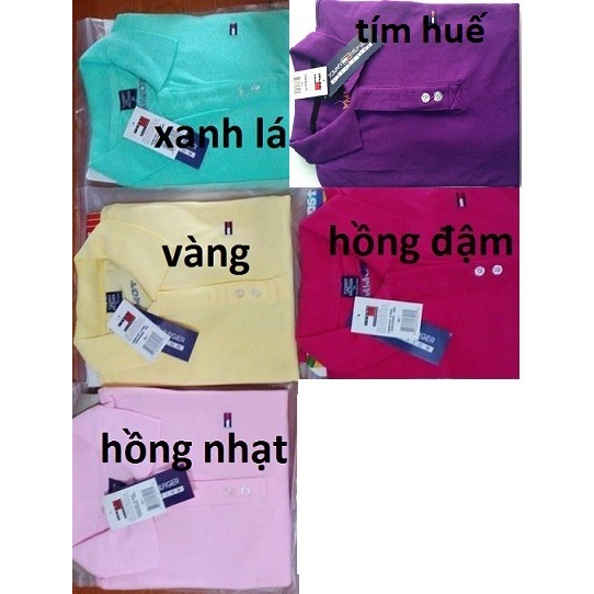 ÁO THUN NỮ (VÀNG XANH LÁ TÍM HUẾ HỒNG NHẠT HỒNG ĐẬM)