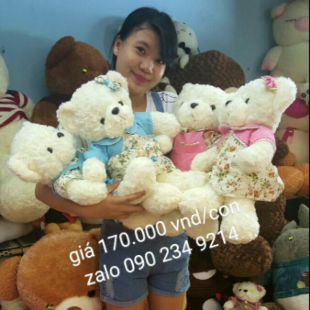 Gấu nhỏ