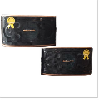 Loa Boston Audio LV 200