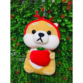Gấu Bông Shiba 20cm