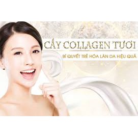 Tinh Chất Collagen Tươi HERBAL Căng Bóng, Trẻ Hóa Da, chống Lão Hóa