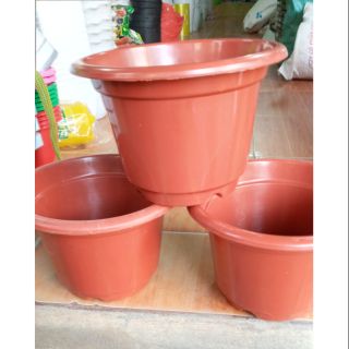 30 cái xô trồng cây hoa phi 24cm x16cm giá sỉ