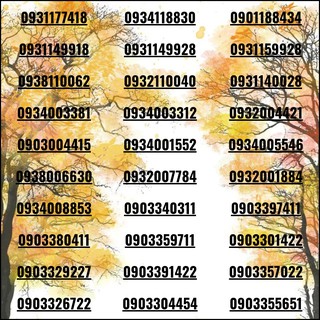 Xả kho sim số đẹp làm ăn lớn nhất Miền Nam